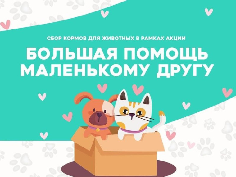 «Помоги другу меньшему».